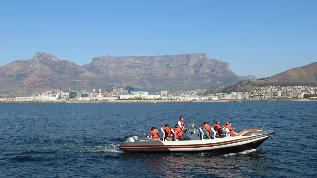 Passeio ecológico marítimo em frente ao mar, Cidade do Cabo (com transferência)