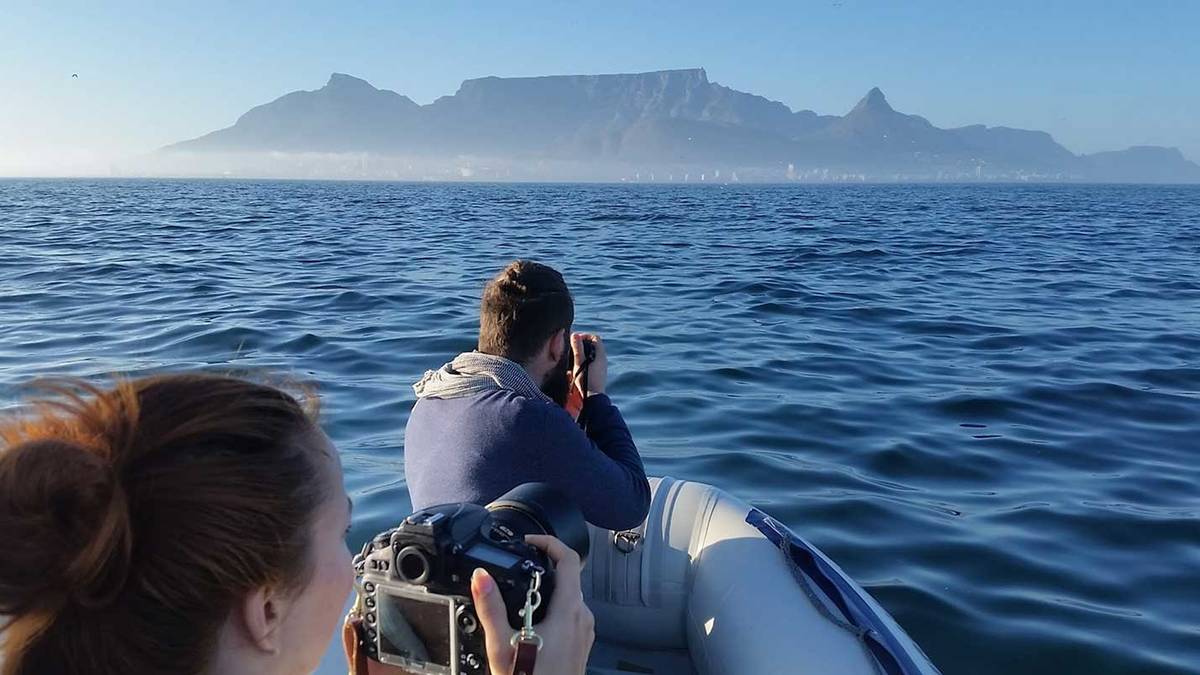 Vida Selvagem Oceânica na Orla Marítima, Cidade do Cabo