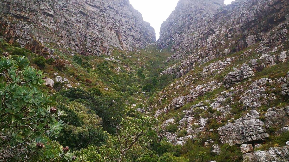 Caminhada na Table Mountain (via Platteklip)
